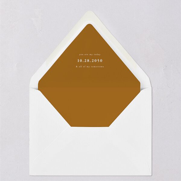 Elegant Minimalist Photo Euro Envelope Liners Saddle Luxe