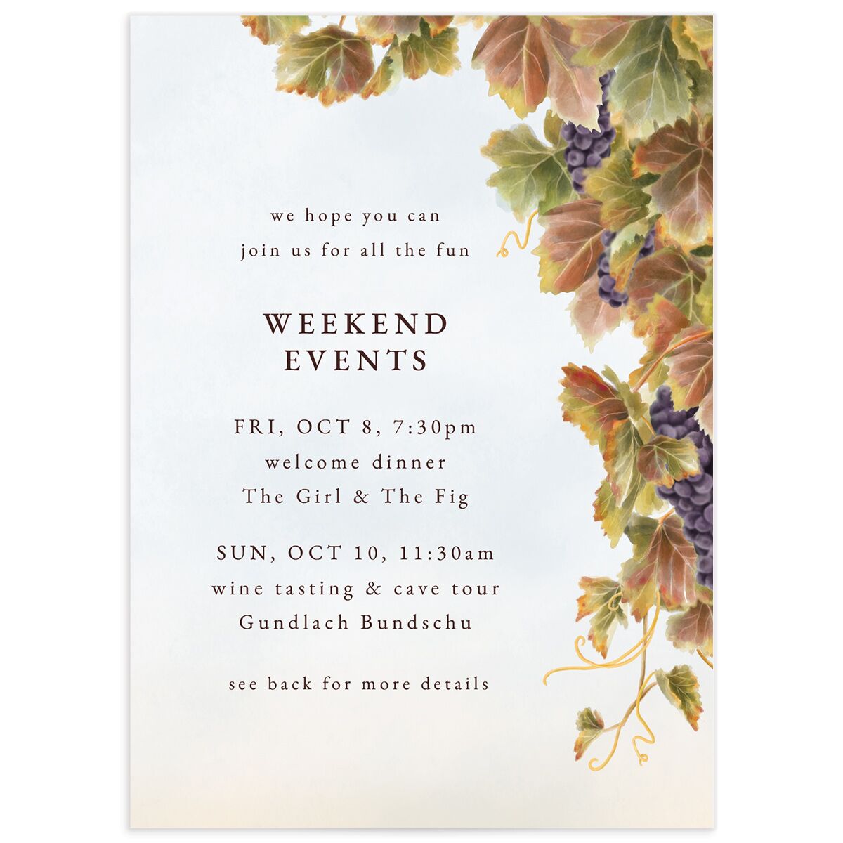 Romantic Vineyard Wedding Enclosure Cards