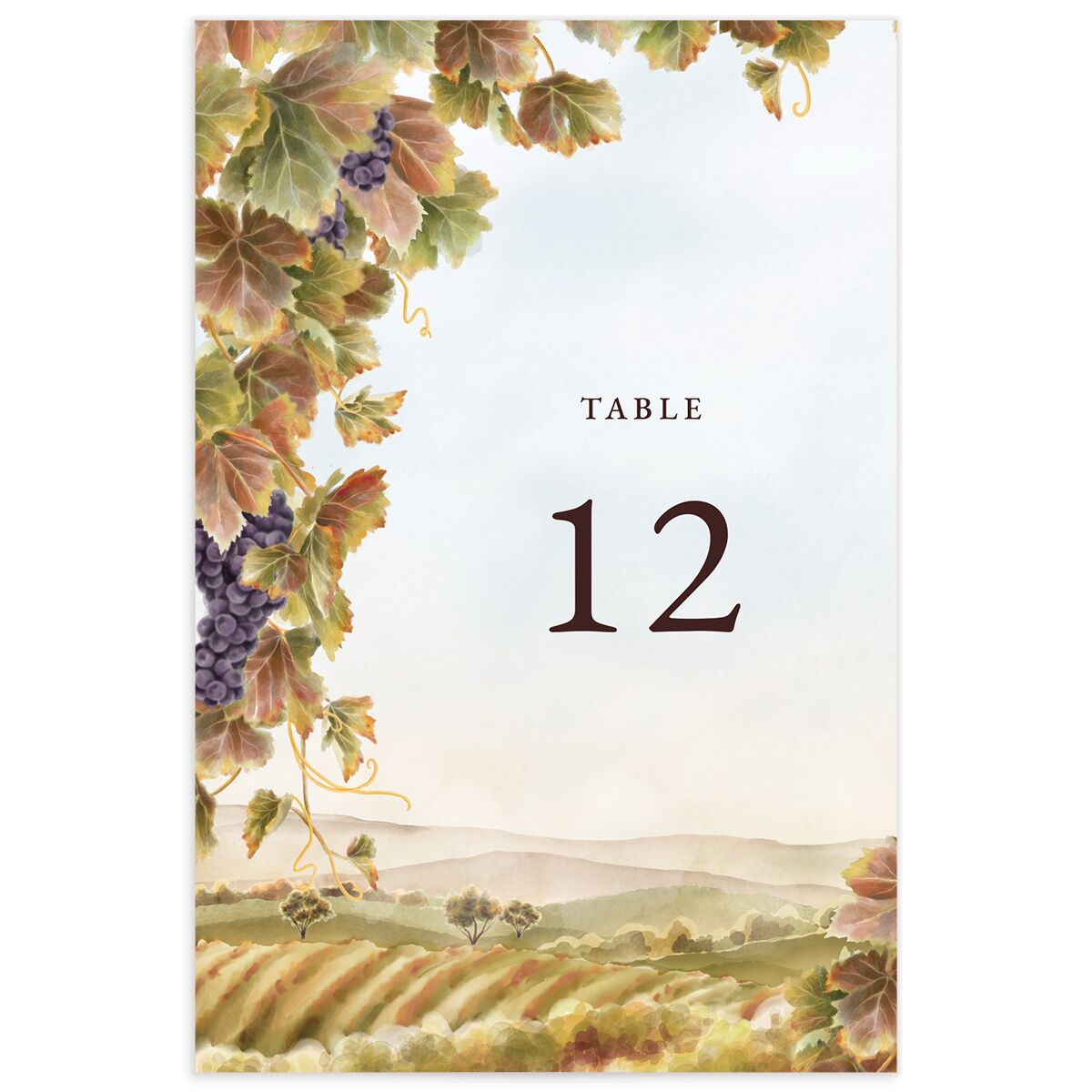 Romantic Vineyard Table Numbers