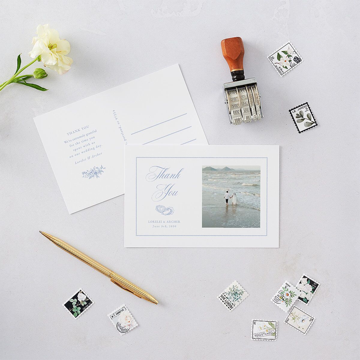 Coastal Oysters and Anchors Thank You Postcards Sea Blue