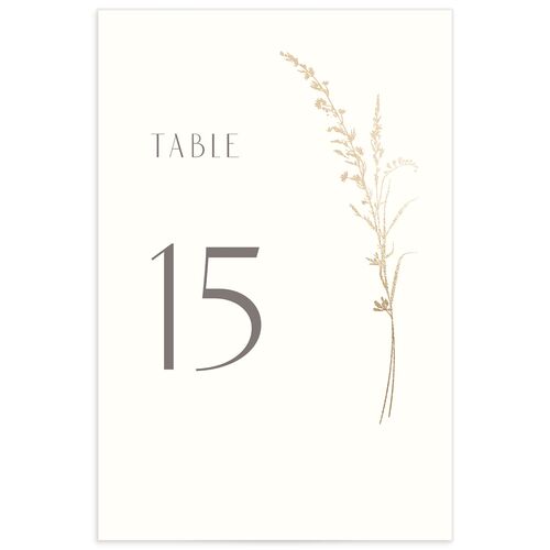 Minimal Wildflower Table Numbers