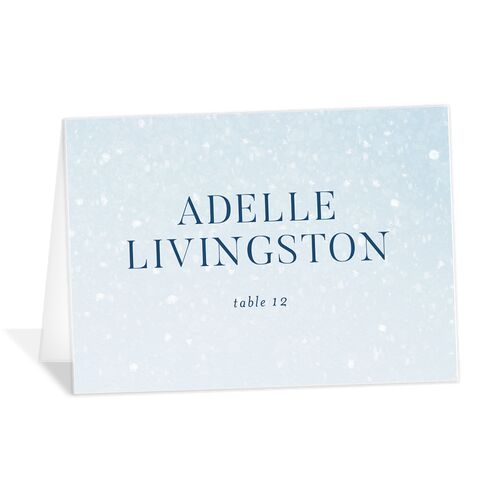 Snowflake Branches Place Cards - Blue