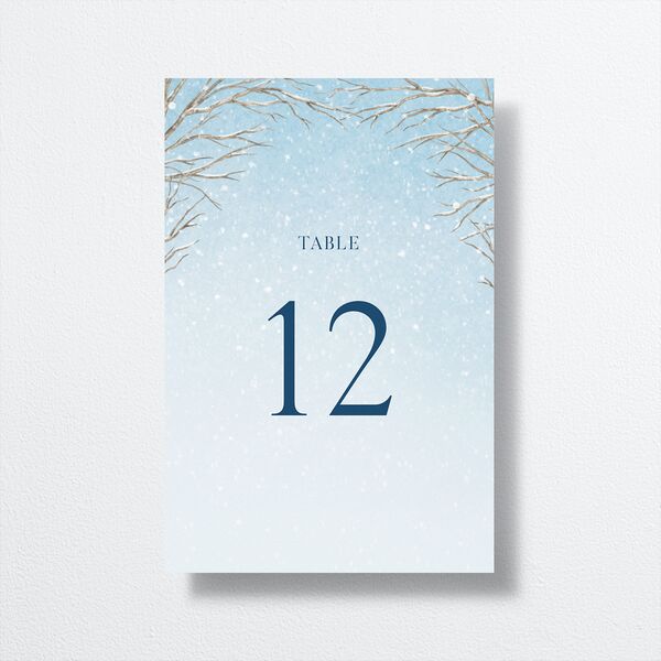 Snowflake Branches Table Numbers Baby Blue Signature
