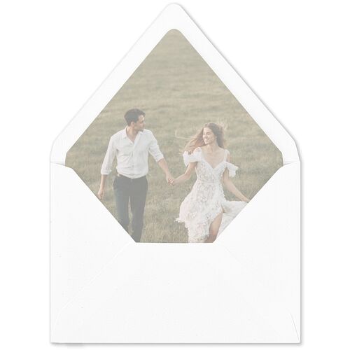 Modern Classic Picture Landscape Euro Envelope Liners Olive Luxe