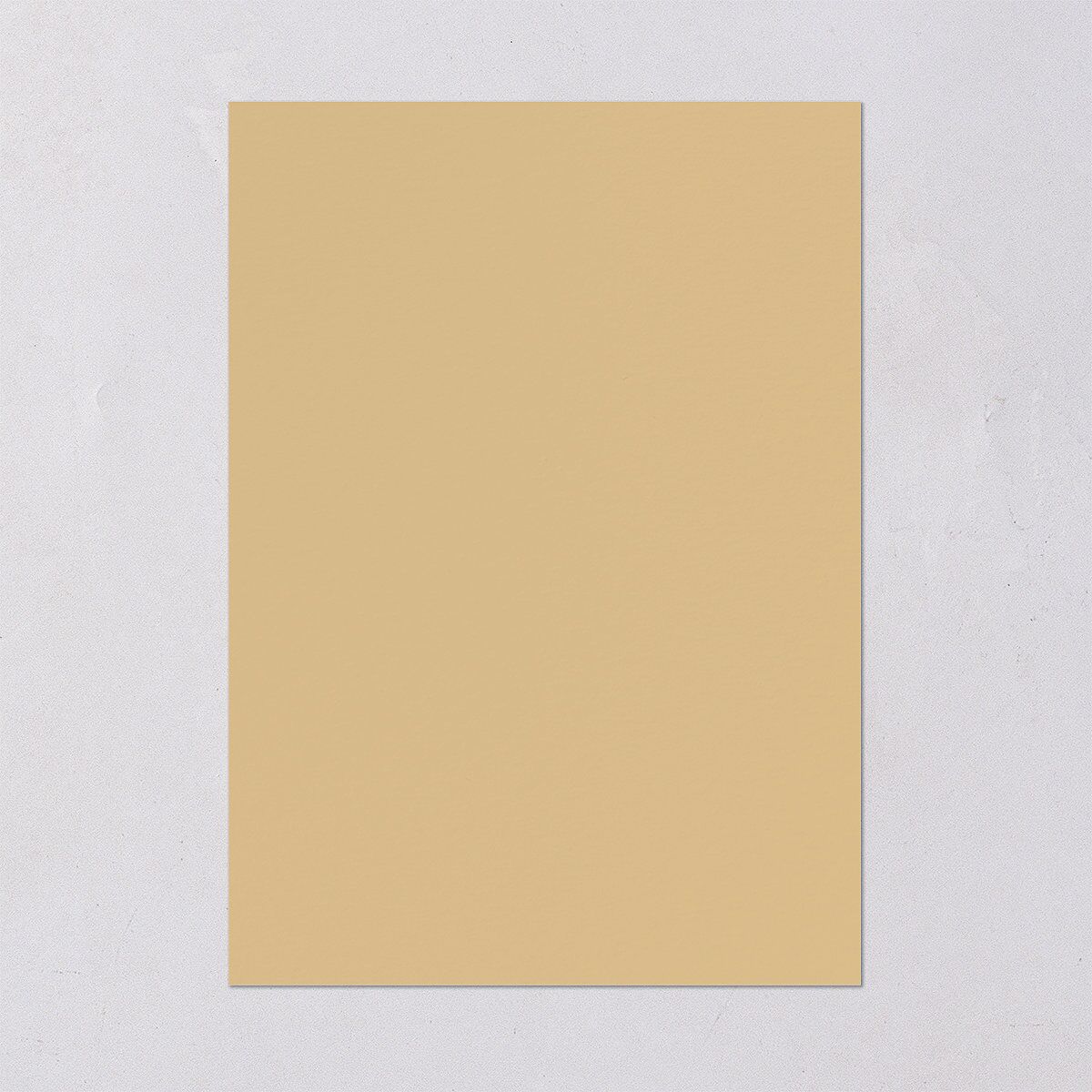 Regal Pampas Wedding Invitations Gold Pure White Signature Blank No Standard