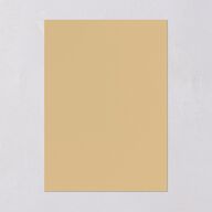 Regal Pampas Wedding Invitations Gold Pure White Signature Blank No Standard