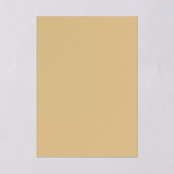 Regal Pampas Wedding Invitations Gold Pure White Signature Blank No Standard