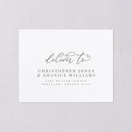 Romantic Calligraphy All-in-One Wedding Invitations Silver Signature Light Both Recipient and Return Addresses No