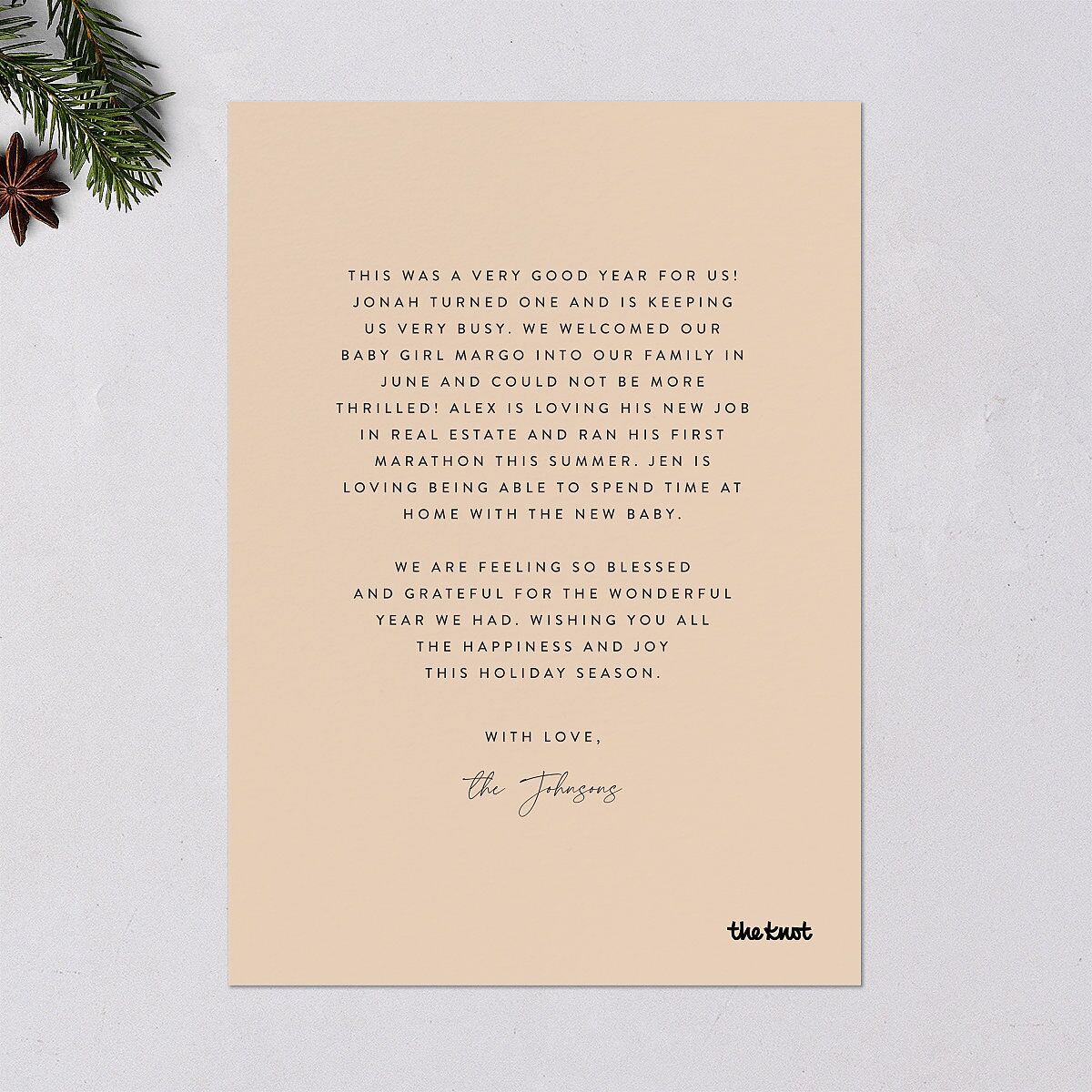 Plaid Window Holiday Cards Rust Signature Blank Standard Portrait
