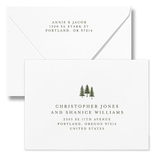 Holiday Buffalo Check Holiday Card Euro Envelopes White Moss Both Recipient and Return Addresses Luxe Signature