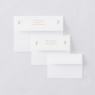 Hacienda Elegante Save The Date Card Envelopes White Cinnamon Both Recipient and Return Addresses Signature Standard