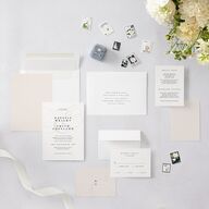 Ampersand Flourish Wedding Invitations Snow Signature Blank No Standard