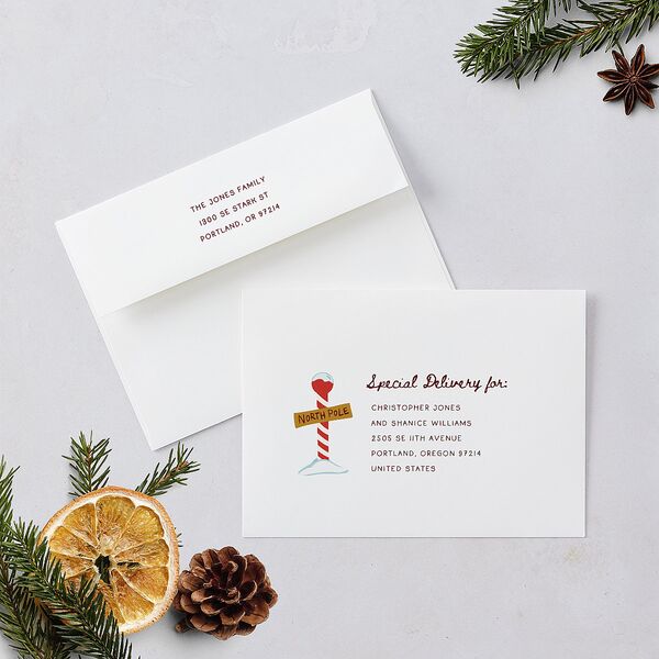 Letters to Santa Baby Announcement Holiday Cards Cotton Signature Blank Portrait Standard