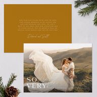 So Very Married Holiday Cards Gold Saddle Signature Blank Standard Landscape