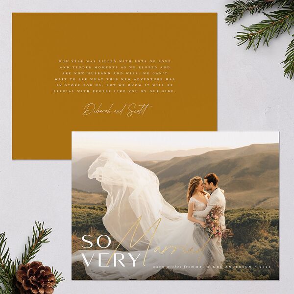 So Very Married Holiday Cards Gold Saddle Signature Blank Standard Landscape