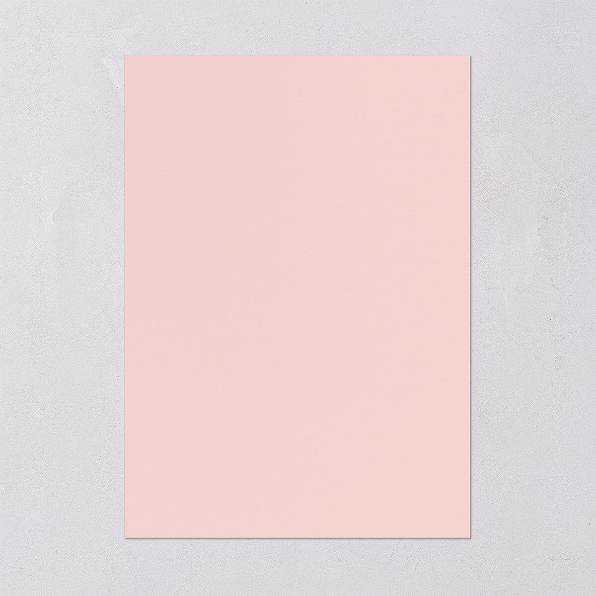 Delphinium Crest Wedding Invitations Shell Pink Signature Blank No Standard