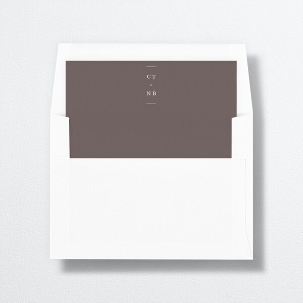 Palm Tree Icon Envelope Liners Champagne Standard