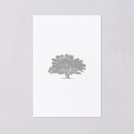 Southern Oak Tree Foil Table Numbers Gold Pure White Signature