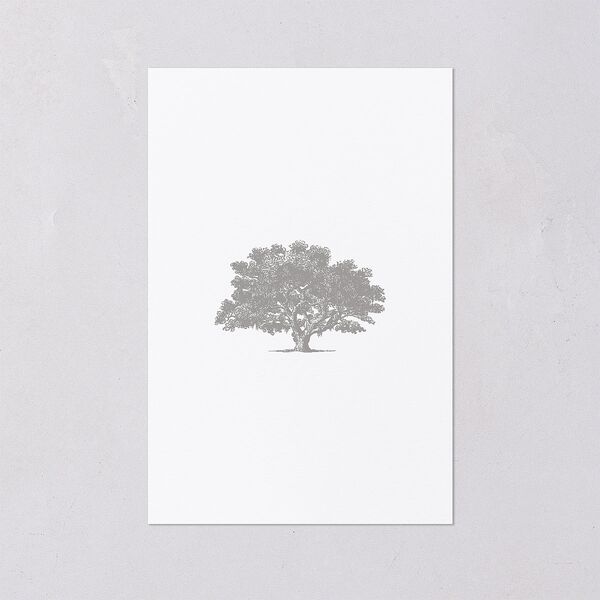 Southern Oak Tree Foil Table Numbers Gold Pure White Signature
