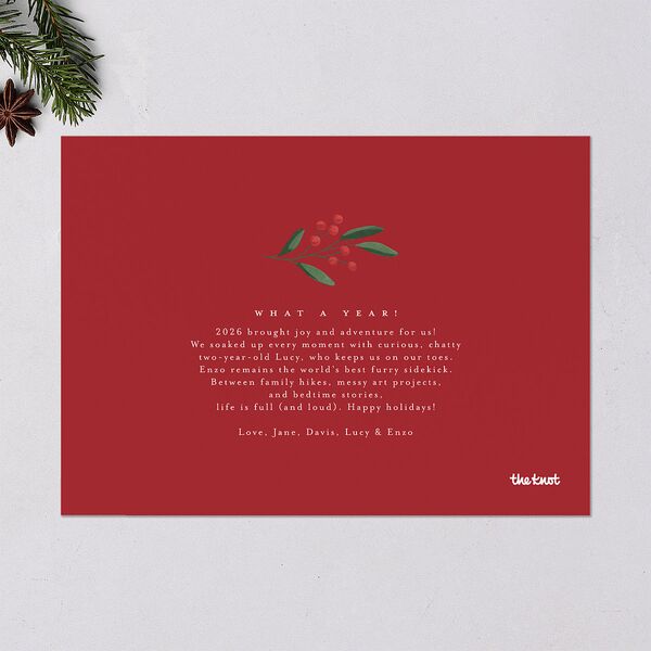 Triptych Holiday Holiday Cards True Red Signature Blank Landscape Standard