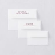 Vintage Love Doves Rehearsal Dinner Invitation Envelopes Shell Pink White Both Recipient and Return Addresses Signature