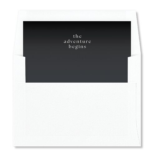 Desert Cactus Envelope Liners Licorice Standard