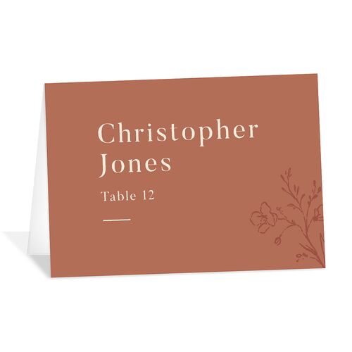 Rustic Monogram Place Cards Copper Signature