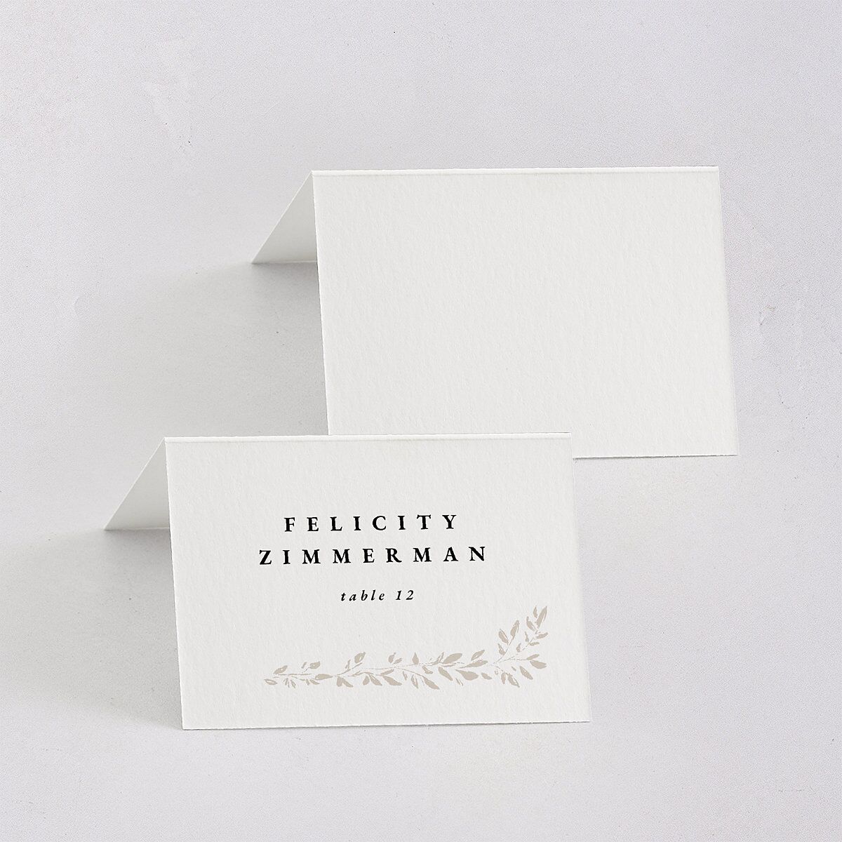 Dainty Frame Place Cards Pure White Signature