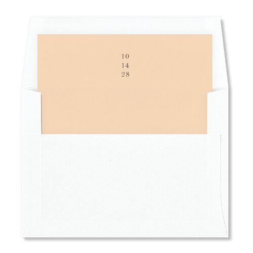 Scenic San Francisco Envelope Liners Peach Fuzz Standard