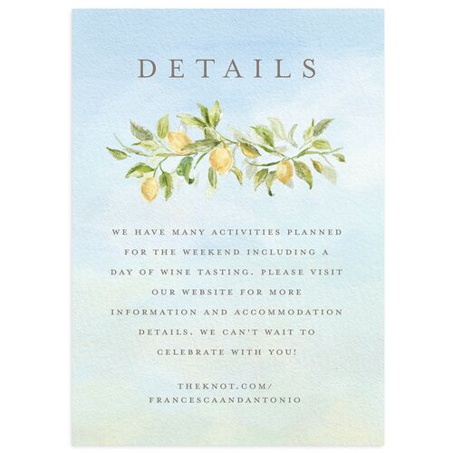 Elegant Italy Wedding Enclosure Cards Regency Blue Signature