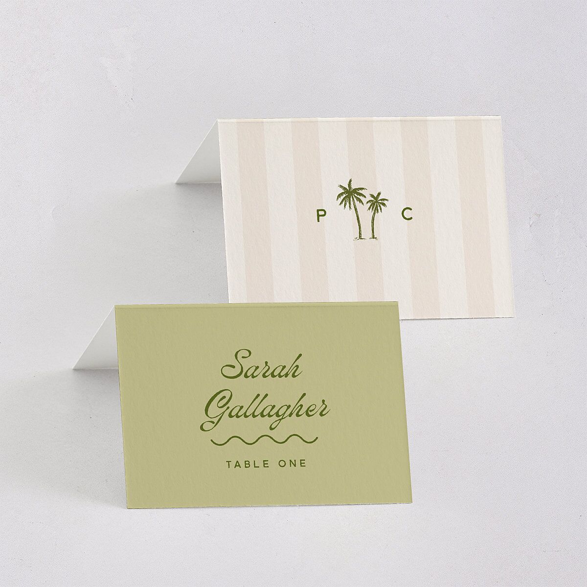 Cabana Stripes Place Cards Olive Signature