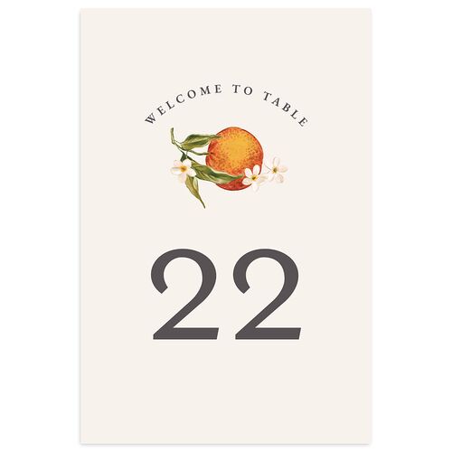 Botanical Citrus Garden Table Numbers Rose Gold Signature