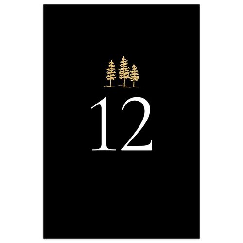 Aspen Table Numbers Gold Licorice Signature