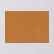 Western Denim Save The Date Cards Champagne Signature smooth Blank No Standard