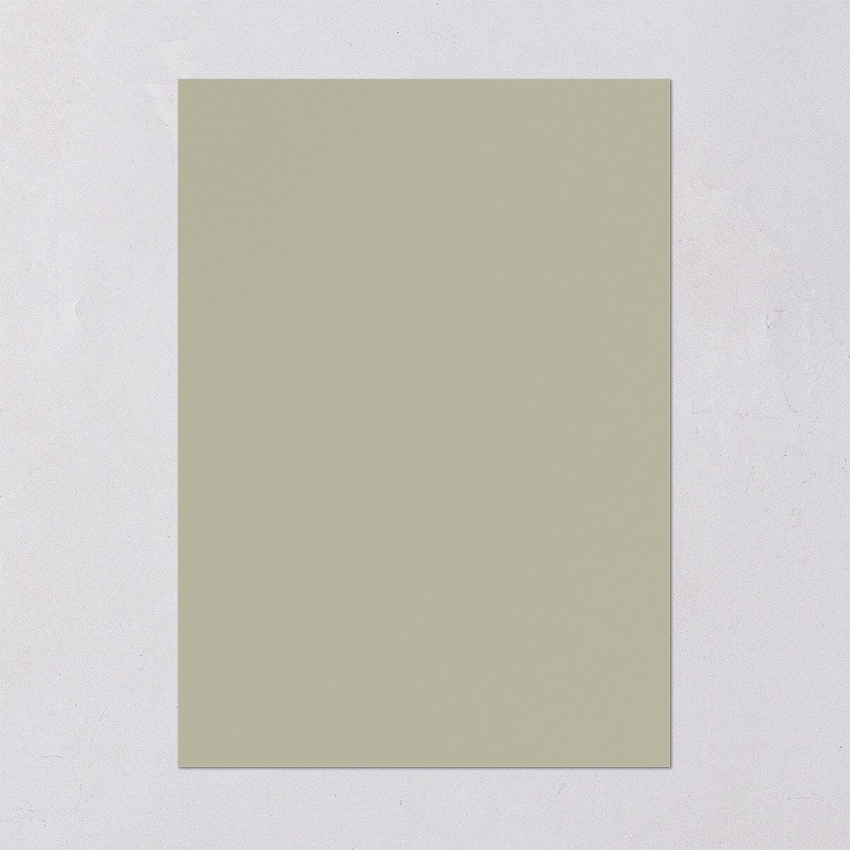 Eucalyptus Edges Bridal Shower Invitations Thyme Signature Blank Standard