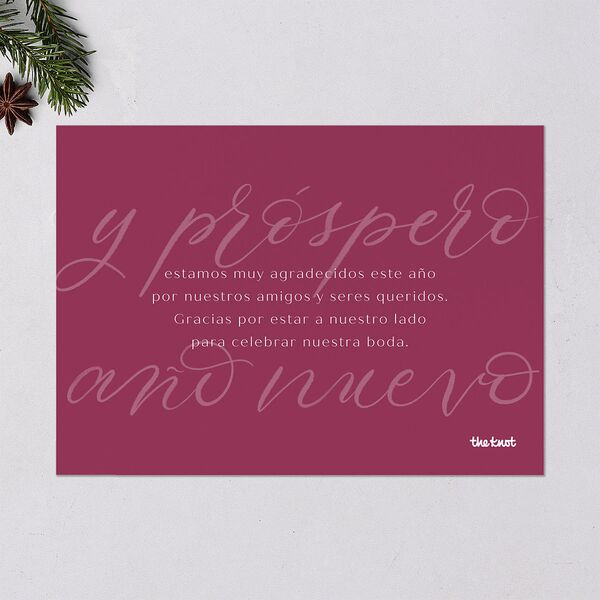 Scripted Feliz Navidad Holiday Cards Raspberry Signature Blank Standard Landscape