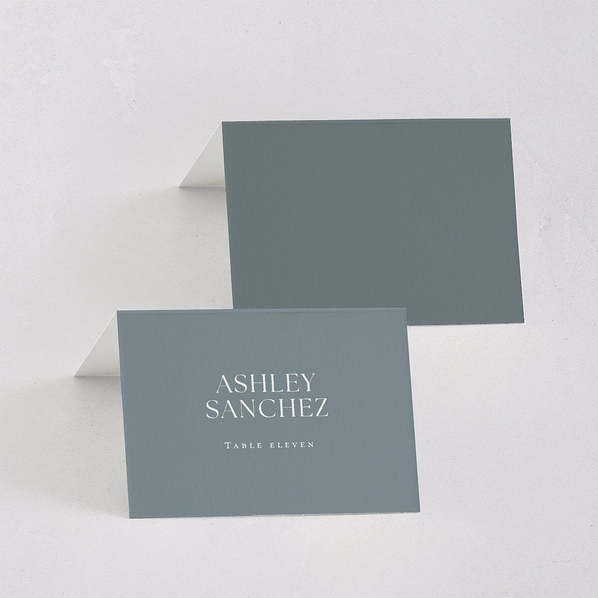 Classic Picture Photo Place Cards Dusty Blue Signature