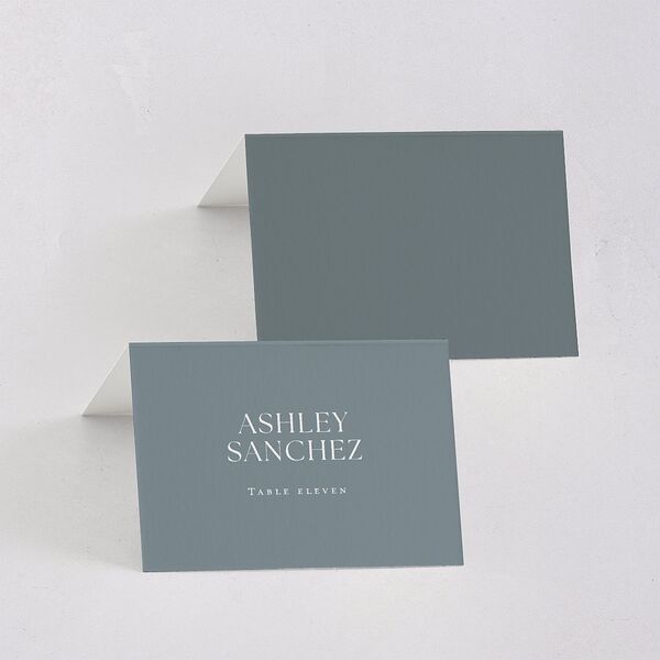 Classic Picture Photo Place Cards Dusty Blue Signature