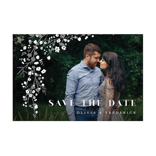 Cherry Blossoms Save The Date Postcards  Charcoal