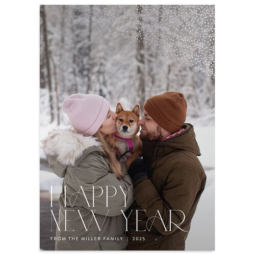 New Years Toast Holiday Cards Silver Navy Signature