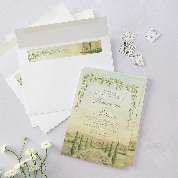 Elegant Italy Wedding Invitations Thyme Signature Blank No Standard