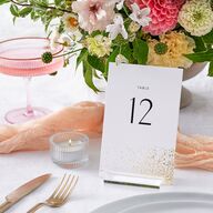 Shimmering Frame Table Numbers Gold Off-White Signature