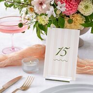 Cabana Stripes Table Numbers Olive Signature