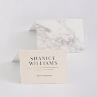 Refined Frame Place Cards Gold Snow Signature