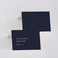 Elevated Minimalist Ampersand Place Cards Navy Signature