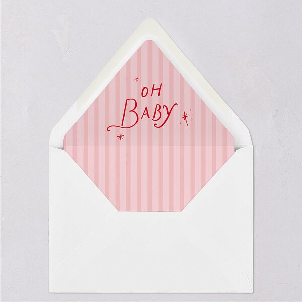 Whimsical Handwritten Home for the Holidays Photos Euro Envelope Liners Ruby Luxe
