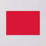 Lucky Circle Wedding Enclosure Cards True Red Signature
