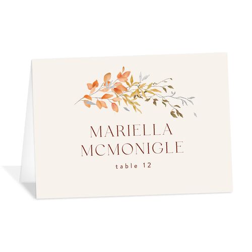 Harvest Crescent Place Cards Silver Champagne Recycled