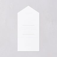 Surround All-in-One Wedding Invitations Mist Signature Light Both Recipient and Return Addresses No
