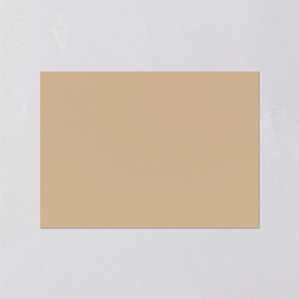 Music Lovers Wedding Response Cards Tan Signature Standard